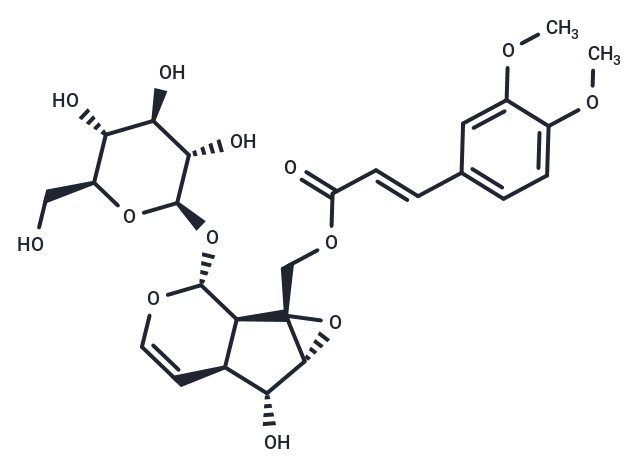 Lagotisoide D