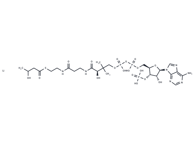 DL-β-Hydroxybutyryl coenzyme A lithium