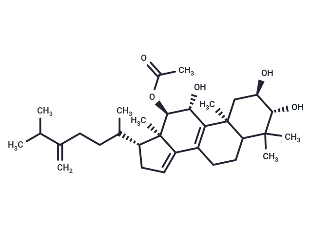 Integracide B