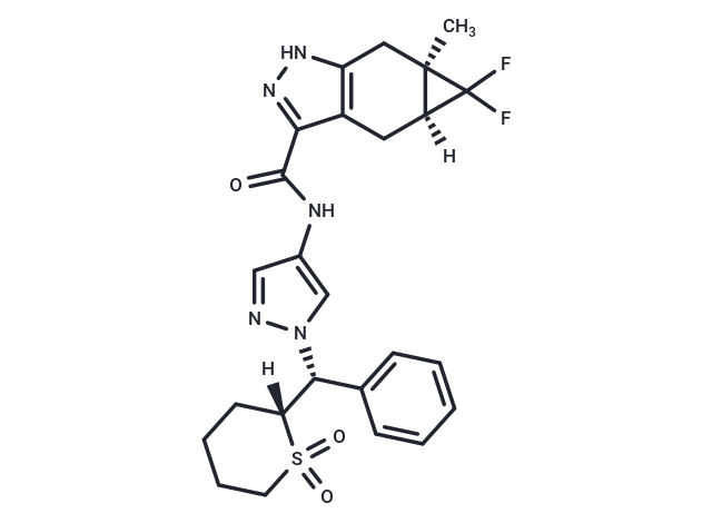 GNE-4997