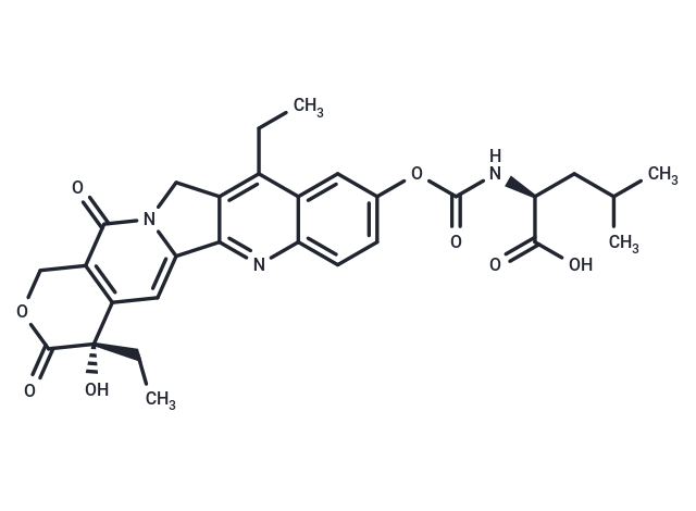 ZBH-1205