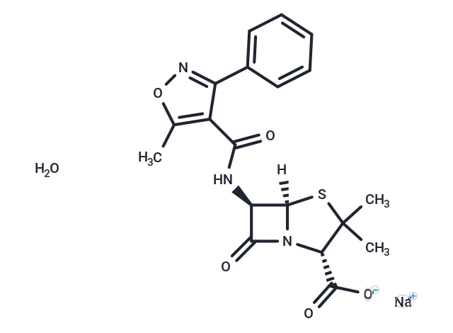 Oxacillin sodium monohydrate