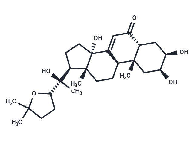 Stachysterone D