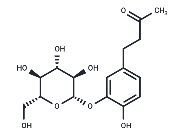 Myzodendrone