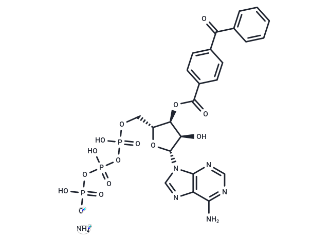 BzATP triethylammonium salt