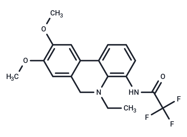 SARS-CoV-2-IN-17