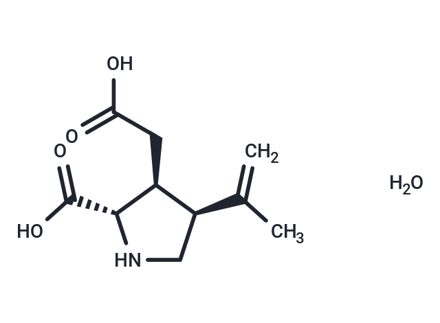 (-)-(α)-Kainic Acid (hydrate)