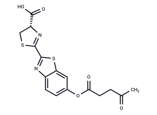 SBP-1