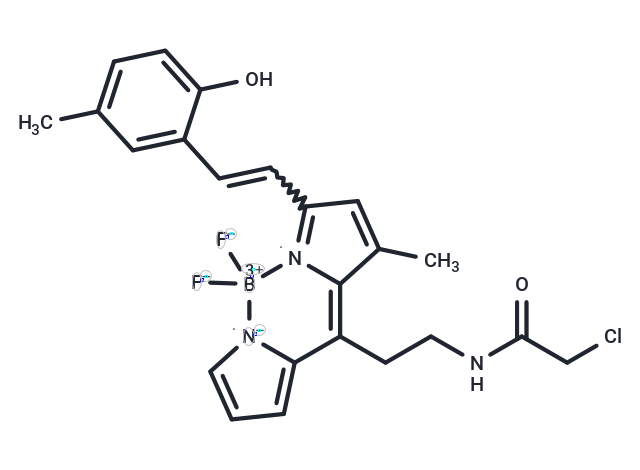 CDy9