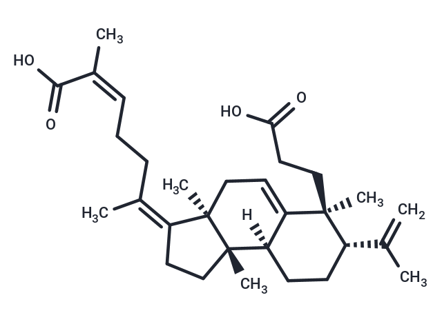 Kadsuracoccinic acid A