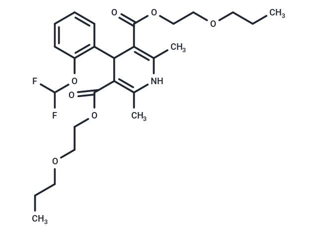 Cerebrocrast