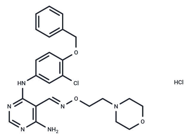 JNJ28871063 hydrochloride