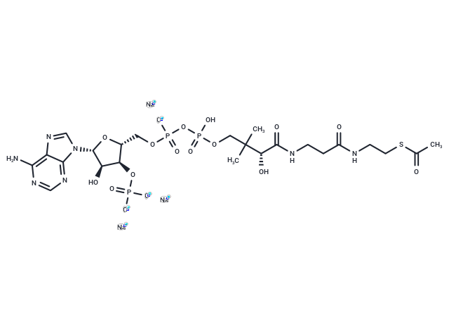 Acetyl Coenzyme A trisodium