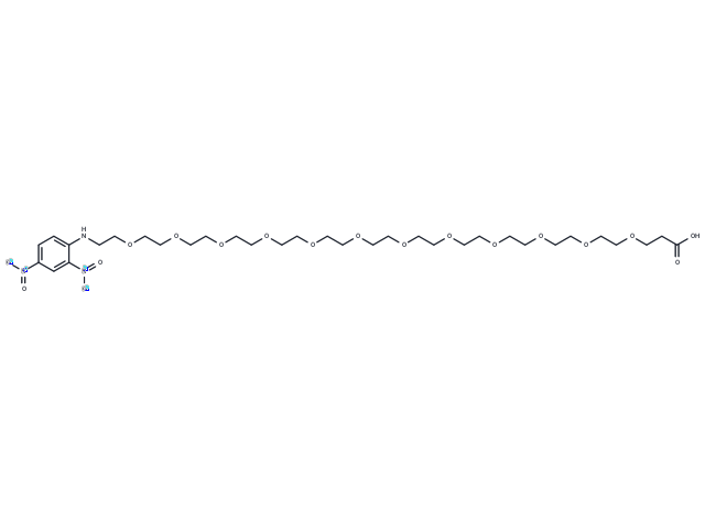 DNP-PEG12-acid