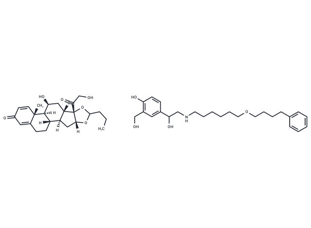 Budesonide mixture with salmeterol