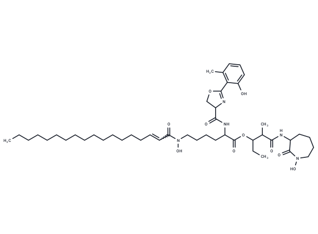 Mycobactin P