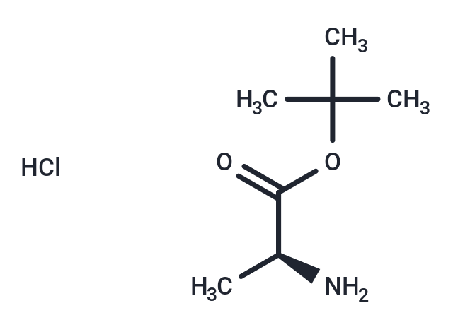 H-Ala-OtBu.HCl