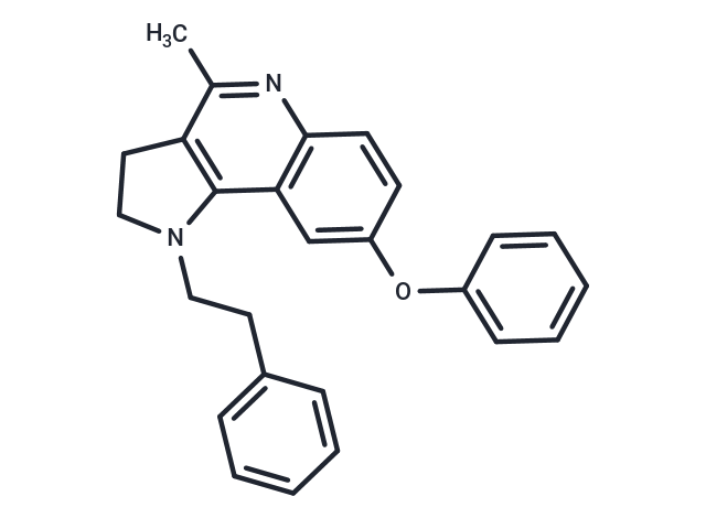 HT-61