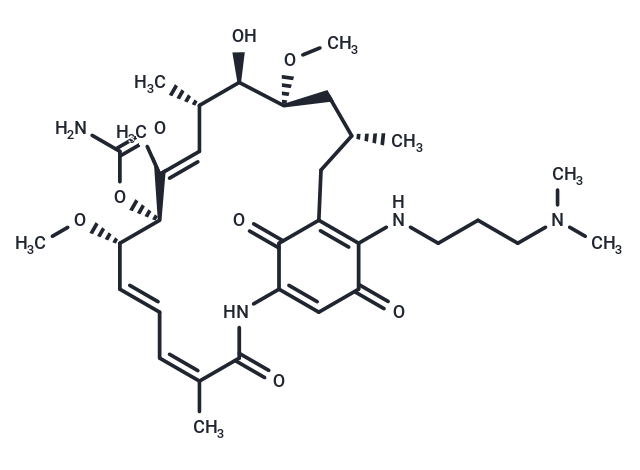 17-DMAP-GA