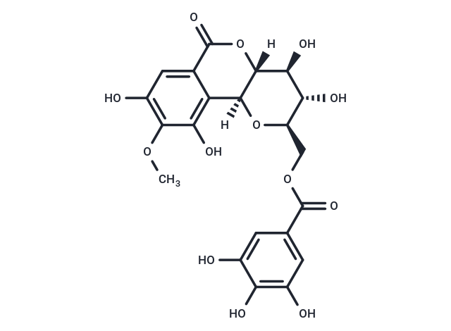 11-O-Galloylbergenin