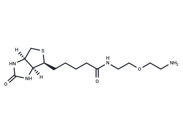 Biotin-PEG1-NH2