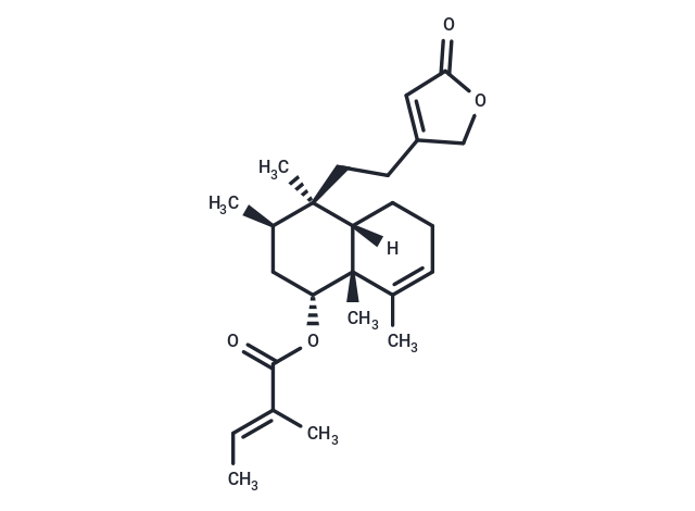 Solidagolactone III