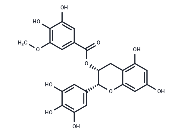 (-)-Epigallocatechin-3-(3''-O-methyl) gallate