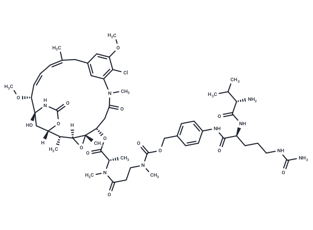 Val-Cit-amide-Cbz-N(Me)-Maytansine