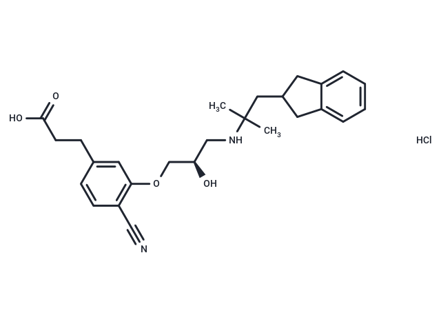 SB-423562 HCl