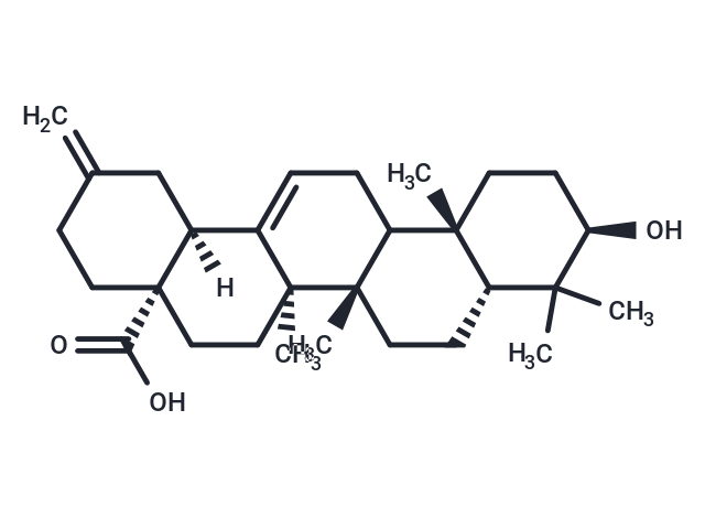 3α-Akebonoic Acid