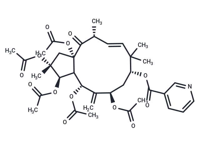 Jatrophane I