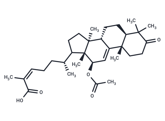 12β-acetoxycoccinic acid