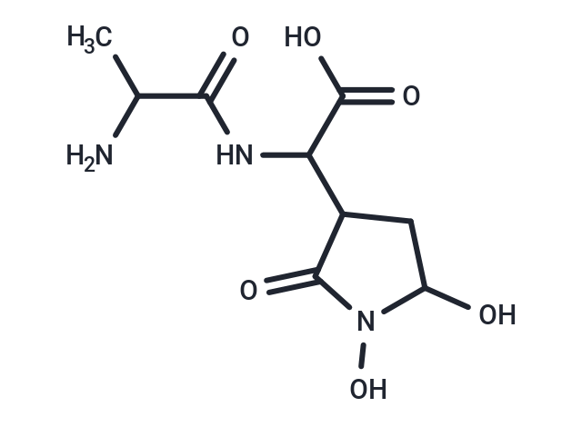 Alahopcin