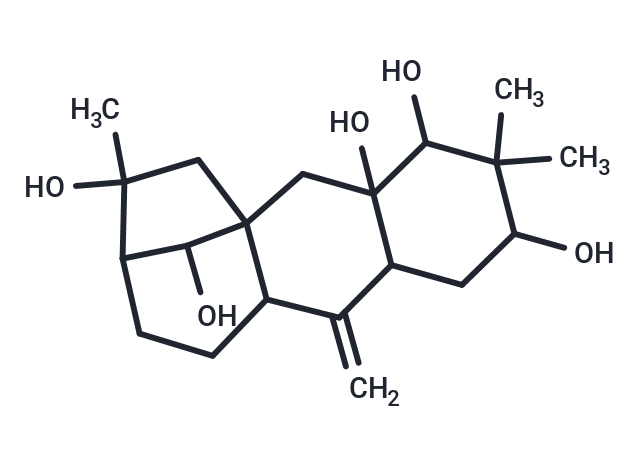 Leucothol B