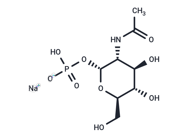 N-Acetyl-α-D-glucosamine 1-phosphate disodium