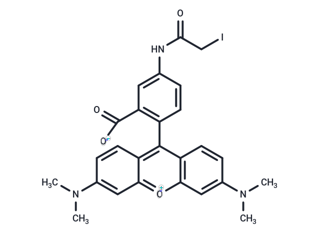 Tetramethylrhodamine-5-iodoacetamide