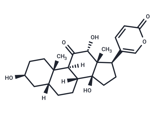 Pseudobufarenogin