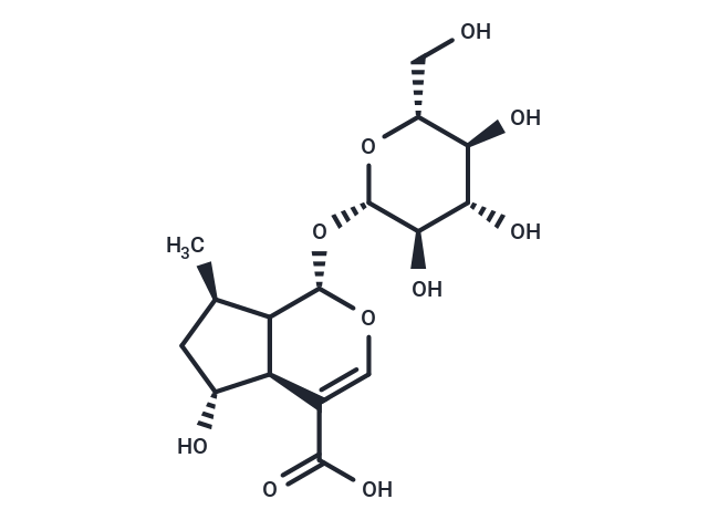 8-Dehydroxy shanzhiside