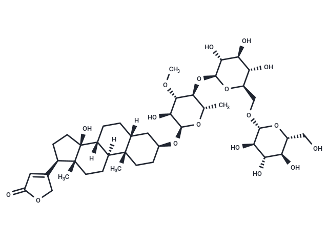 Thevetin B