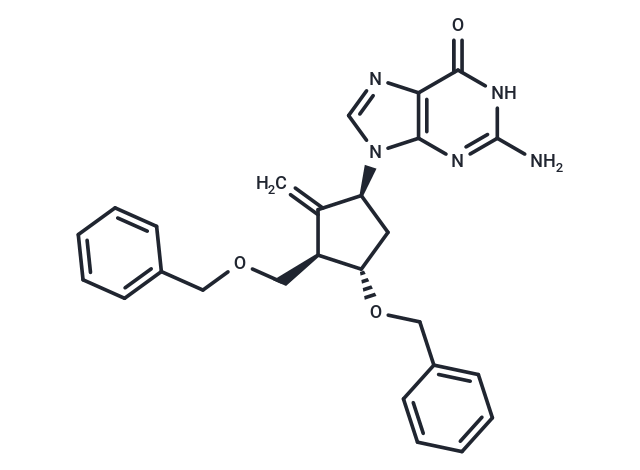 Entecavir-9