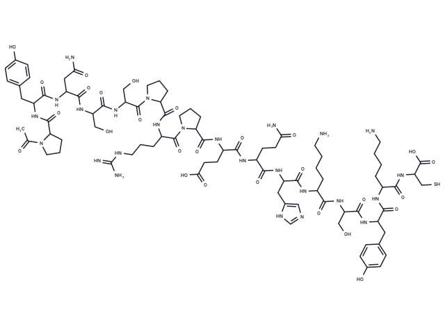 Nitric Oxide Synthase (599-613) Blocking Peptide, Bovine Endothelial Cell