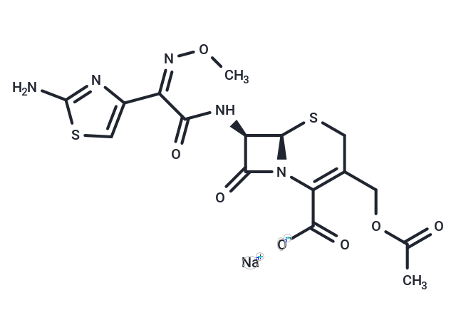 Cefotaxime sodium