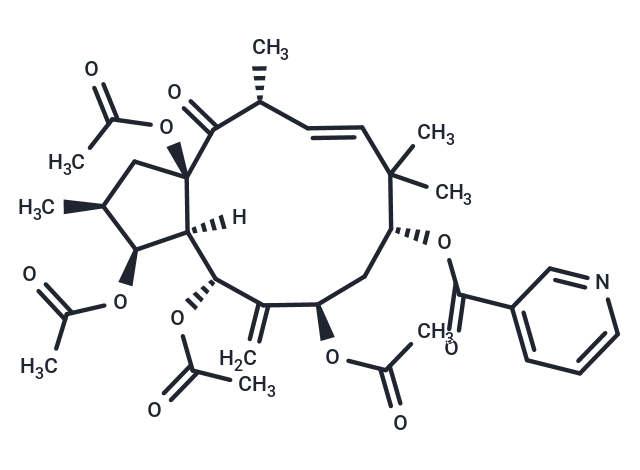 3,5,7,15-Tetraacetoxy-9-nicotinoyloxy-6(17),11-jatrophadien-14-one