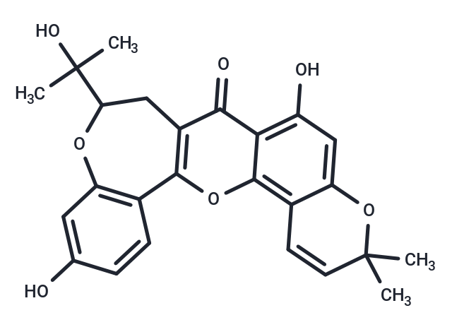 Neocyclomorusin