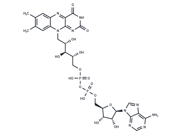 Flavin adenine dinucleotide