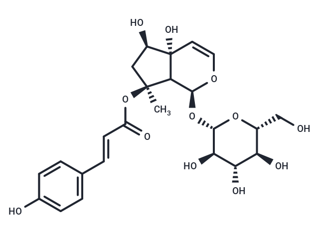 8-p-Coumaroylharpagide