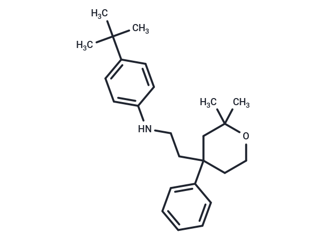 ICMT-IN-47