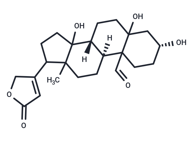 Compound 0407-0016