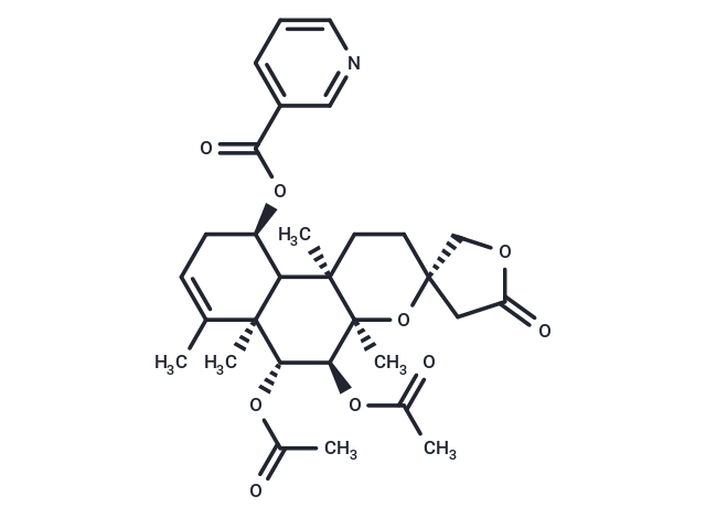 Scutebata F