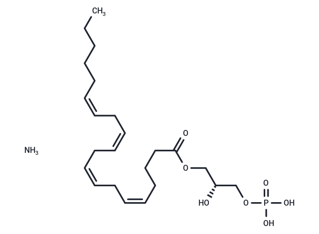 1-Arachidonoyl Lysophosphatidic Acid (ammonium salt)